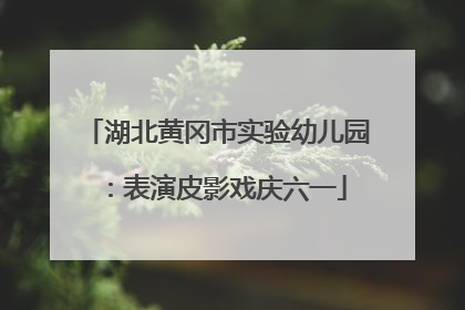 湖北黄冈市实验幼儿园：表演皮影戏庆六一