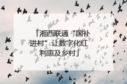 湘西联通“国补进村”让数字化红利惠及乡村