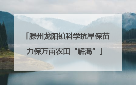 滕州龙阳镇科学抗旱保苗 力保万亩农田“解渴”