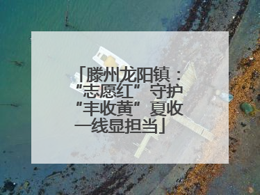 滕州龙阳镇：“志愿红”守护“丰收黄”夏收一线显担当