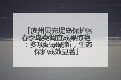 滨州贝壳堤岛保护区春季鸟类调查成果惊艳：多项纪录刷新，生态保护成效显著