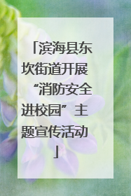 滨海县东坎街道开展“消防安全进校园”主题宣传活动