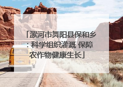 漯河市舞阳县保和乡：科学组织灌溉 保障农作物健康生长