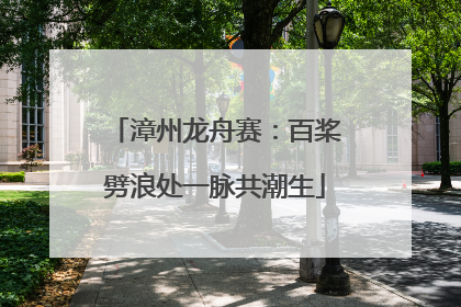 漳州龙舟赛：百桨劈浪处一脉共潮生