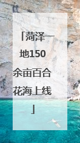 菏泽一地150余亩百合花海上线