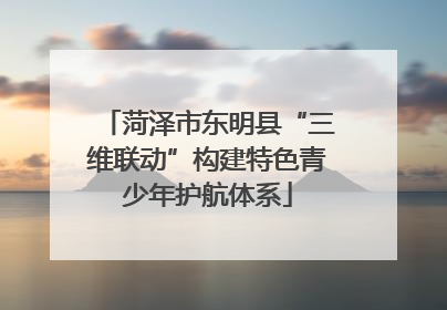 菏泽市东明县“三维联动”构建特色青少年护航体系