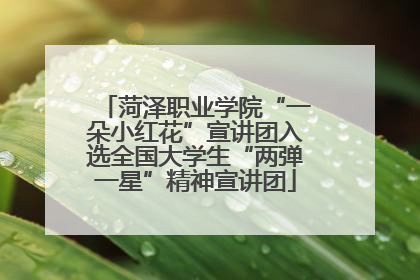 菏泽职业学院“一朵小红花”宣讲团入选全国大学生“两弹一星”精神宣讲团