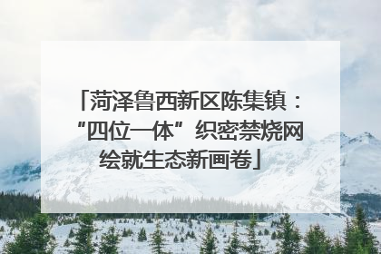 菏泽鲁西新区陈集镇：“四位一体”织密禁烧网 绘就生态新画卷