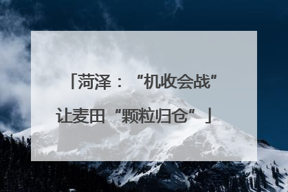 菏泽：“机收会战”让麦田“颗粒归仓”