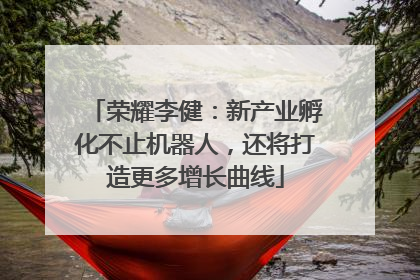 荣耀李健：新产业孵化不止机器人，还将打造更多增长曲线