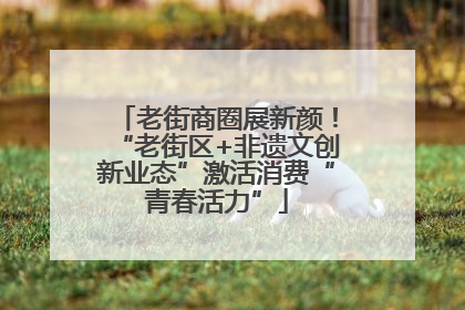 老街商圈展新颜！“老街区+非遗文创新业态”激活消费“青春活力”