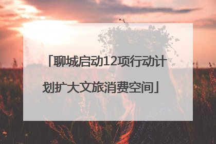 聊城启动12项行动计划扩大文旅消费空间