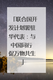 联合国开发计划署驻华代表：与中国同行 促万物共生