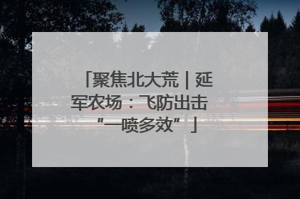 聚焦北大荒｜延军农场：飞防出击 “一喷多效”