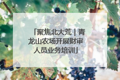 聚焦北大荒｜青龙山农场开展财审人员业务培训