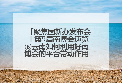 聚焦国新办发布会丨第9届南博会速览⑥云南如何利用好南博会的平台带动作用，深化与南亚国家的交流与合作？