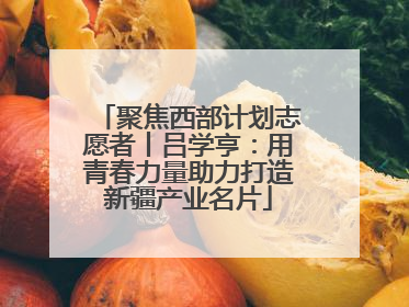 聚焦西部计划志愿者丨吕学亨：用青春力量助力打造新疆产业名片