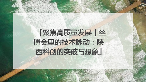聚焦高质量发展丨丝博会里的技术脉动：陕西科创的突破与想象