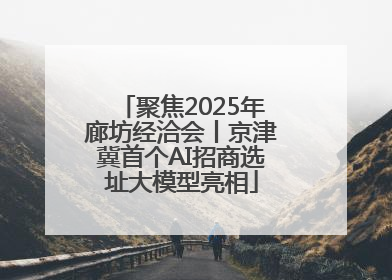 聚焦2025年廊坊经洽会丨京津冀首个AI招商选址大模型亮相