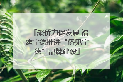 聚侨力促发展 福建宁德推进“侨见宁德”品牌建设
