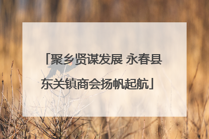 聚乡贤谋发展 永春县东关镇商会扬帆起航