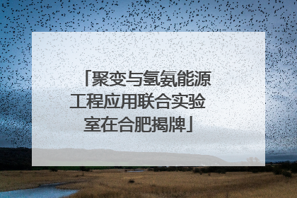 聚变与氢氨能源工程应用联合实验室在合肥揭牌