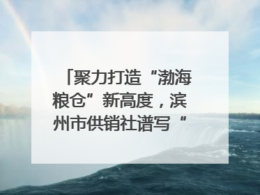 聚力打造“渤海粮仓”新高度，滨州市供销社谱写“三夏”丰收乐章