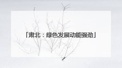 肃北：绿色发展动能强劲