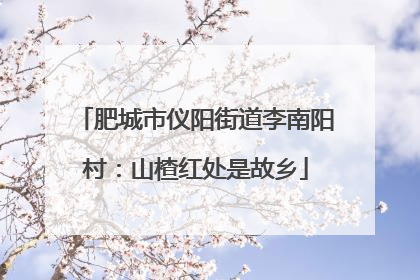 肥城市仪阳街道李南阳村：山楂红处是故乡