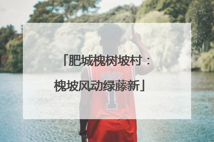 肥城槐树坡村：槐坡风动绿藤新