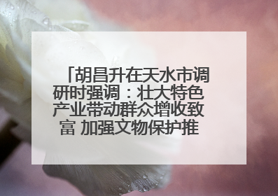 胡昌升在天水市调研时强调：壮大特色产业带动群众增收致富 加强文物保护推动文化创新发展