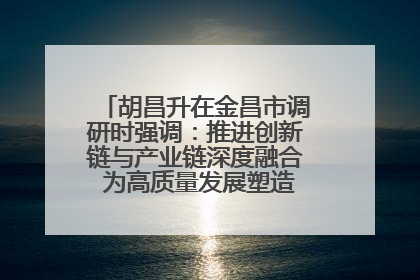 胡昌升在金昌市调研时强调：推进创新链与产业链深度融合 为高质量发展塑造新动能新优势