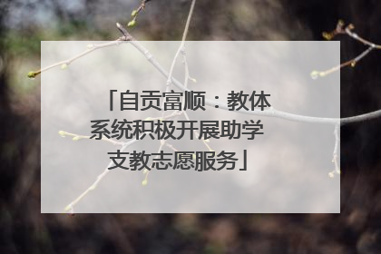 自贡富顺：教体系统积极开展助学支教志愿服务