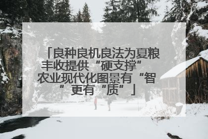 良种良机良法为夏粮丰收提供“硬支撑” 农业现代化图景有“智”更有“质”