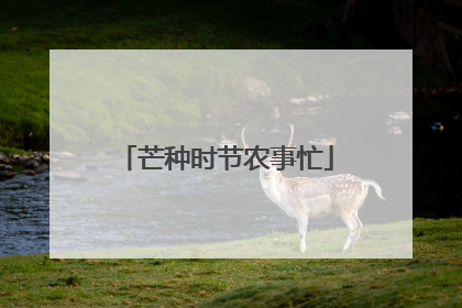 芒种时节农事忙