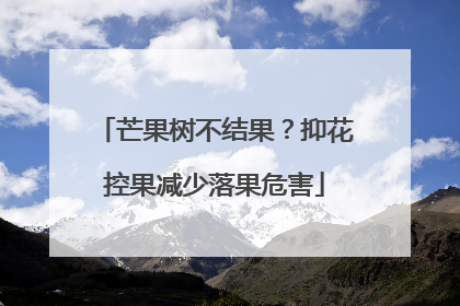 芒果树不结果？抑花控果减少落果危害