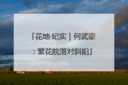 花地·纪实｜何武豪：繁花院落对斜阳