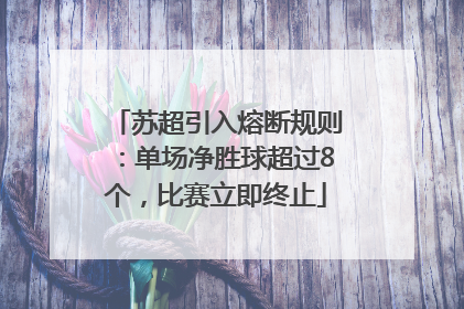 苏超引入熔断规则：单场净胜球超过8个，比赛立即终止