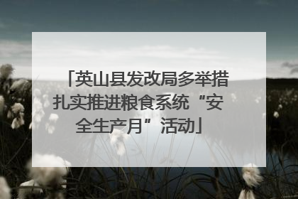 英山县发改局多举措扎实推进粮食系统“安全生产月”活动