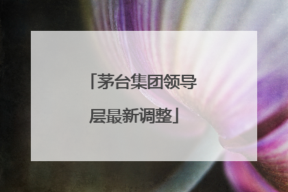 茅台集团领导层最新调整