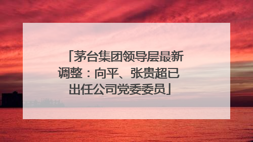 茅台集团领导层最新调整：向平、张贵超已出任公司党委委员