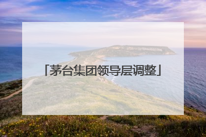 茅台集团领导层调整