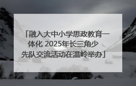 融入大中小学思政教育一体化 2025年长三角少先队交流活动在温岭举办