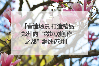 营造场景 打造精品 郑州向“微短剧创作之都”继续迈进