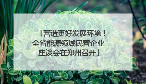营造更好发展环境！全省能源领域民营企业座谈会在郑州召开