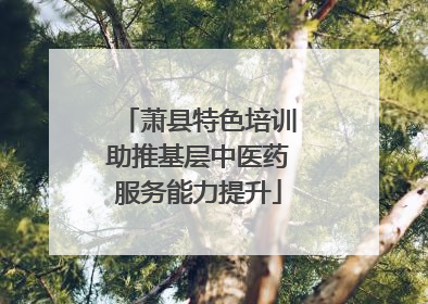 萧县特色培训助推基层中医药服务能力提升