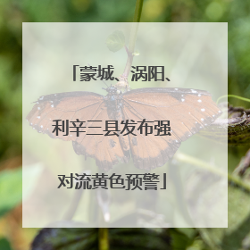 蒙城、涡阳、利辛三县发布强对流黄色预警