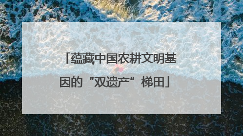 蕴藏中国农耕文明基因的“双遗产”梯田