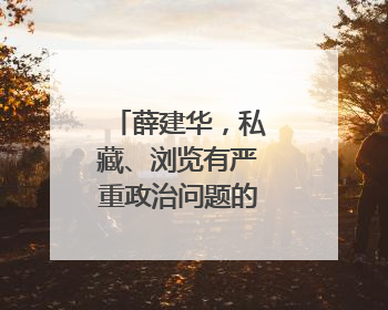 薛建华，私藏、浏览有严重政治问题的网络文章