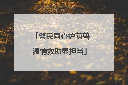 警民同心护萌兽 温情救助显担当